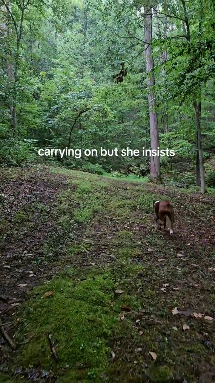 carrying on but she insists