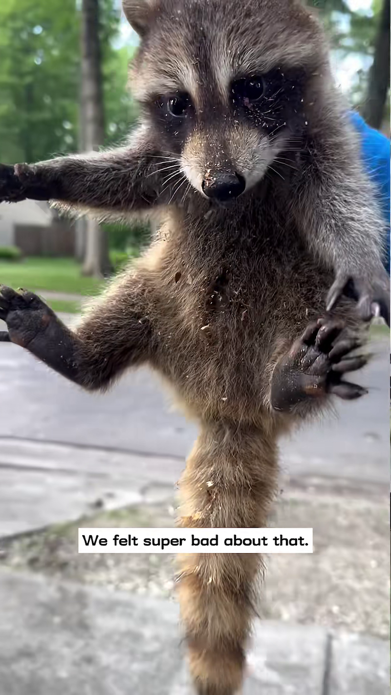 We felt super bad about that.