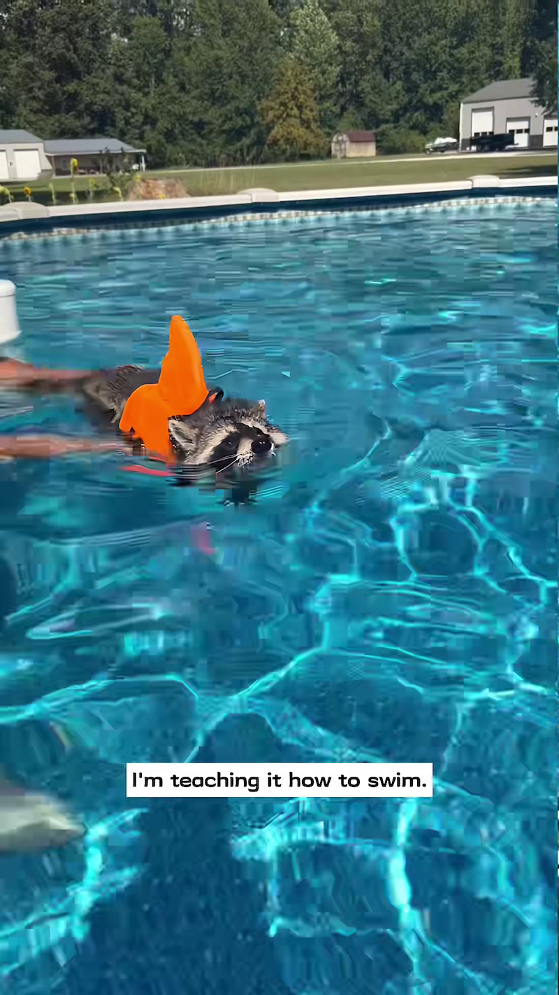 I'm teaching it how to swim.