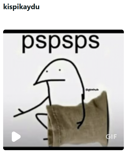 kispikaydu pspsps Орма GIF