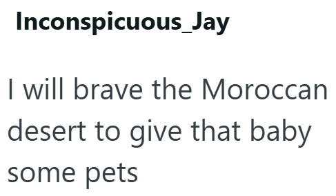 Inconspicuous_Jay I will brave the Moroccan desert to give that baby some pets