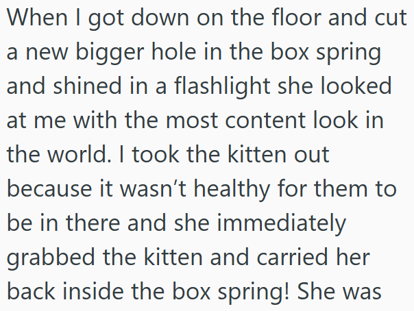 When I got down on the floor and cut a new bigger hole in the box spring and shined in a flashlight she looked at me with the most content look in the world. I took the kitten out because it wasn't healthy for them to be in there and she immediately grabbed the kitten and carried her back inside the box spring! She was