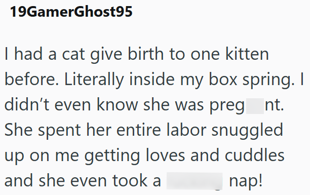 19GamerGhost95 I had a cat give birth to one kitten before. Literally inside my box spring. I didn't even know she was preg nt. She spent her entire labor snuggled up on me getting loves and cuddles and she even took a nap!