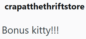 crapatthethriftstore Bonus kitty!!!