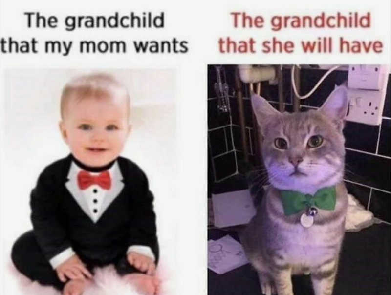The grandchild that my mom wants The grandchild that she will have