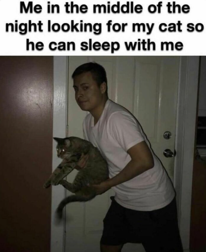 Me in the middle of the night looking for my cat so he can sleep with me