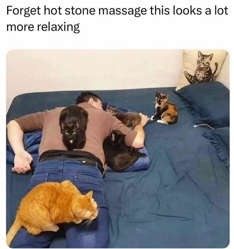 Forget hot stone massage this looks a lot more relaxing
