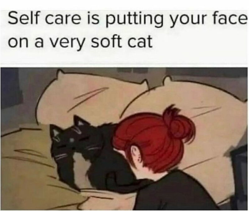 Self care is putting your face on a very soft cat