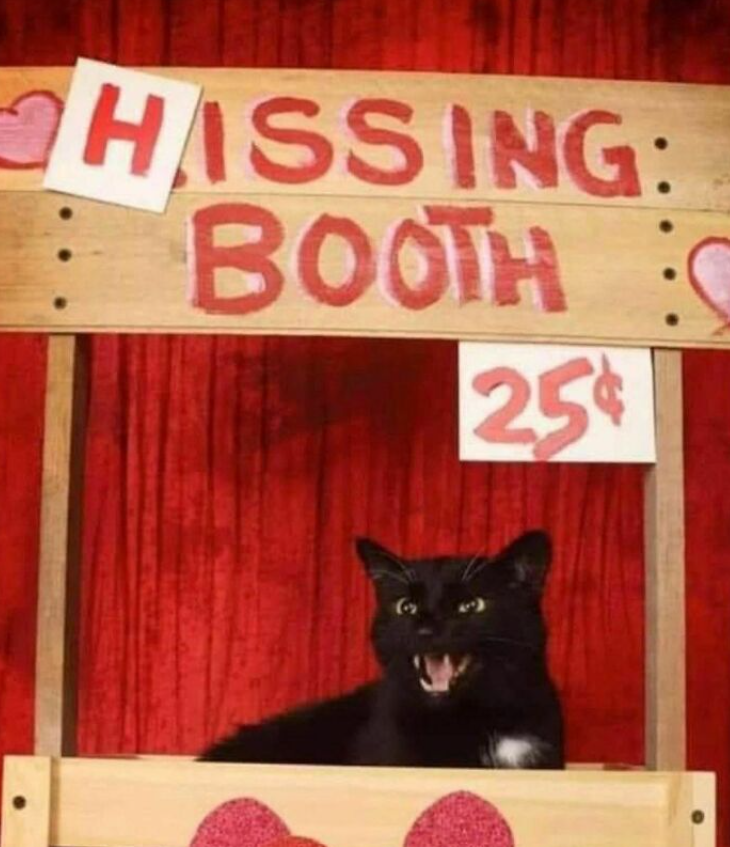 HASSING: BOOTH 25