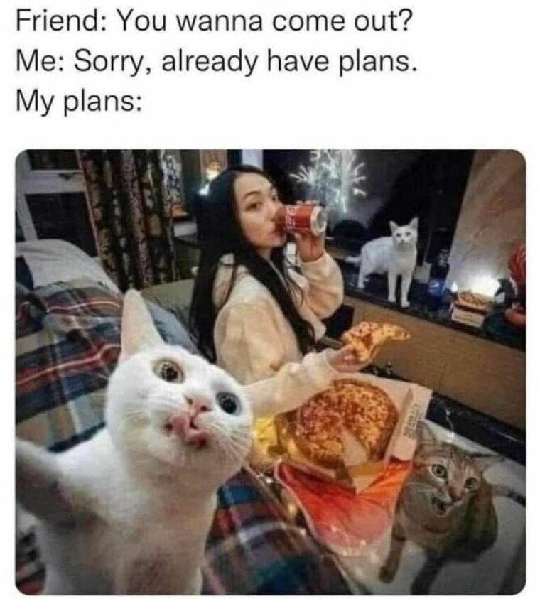 Friend: You wanna come out? Me: Sorry, already have plans. My plans: