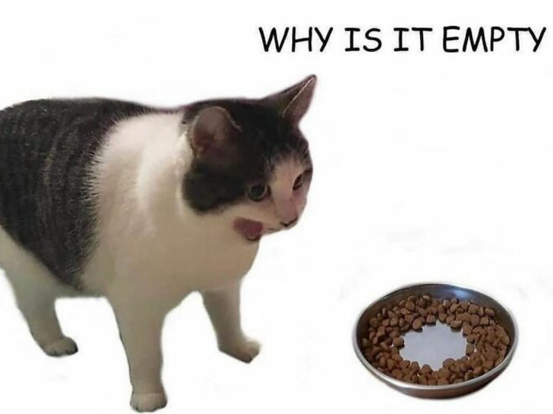 WHY IS IT EMPTY