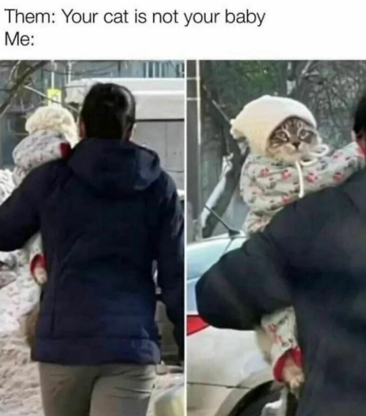 Them: Your cat is not your baby Me: