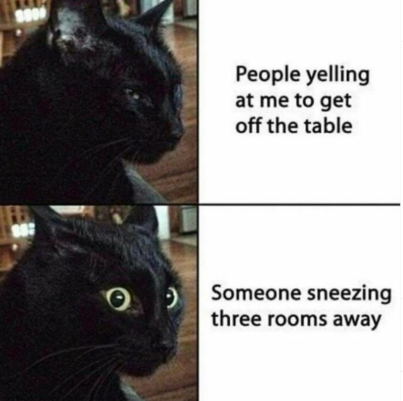 $900 · People yelling at me to get off the table Someone sneezing three rooms away