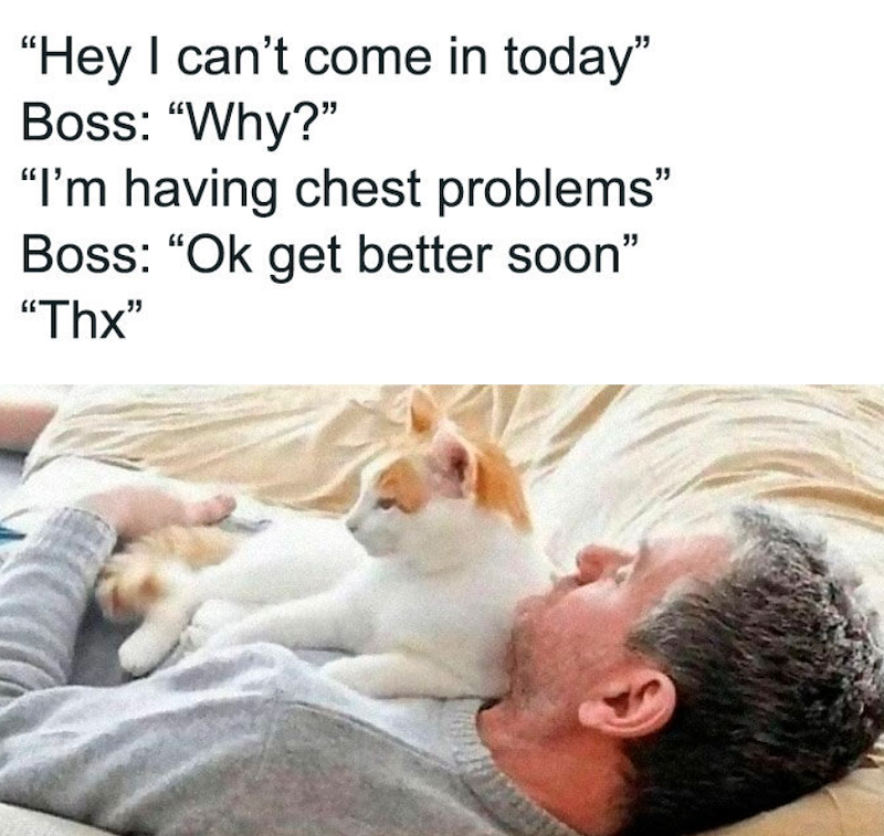 "Hey I can't come in today" Boss: "Why?" "I'm having chest problems" Boss: "Ok get better soon" "Thx"