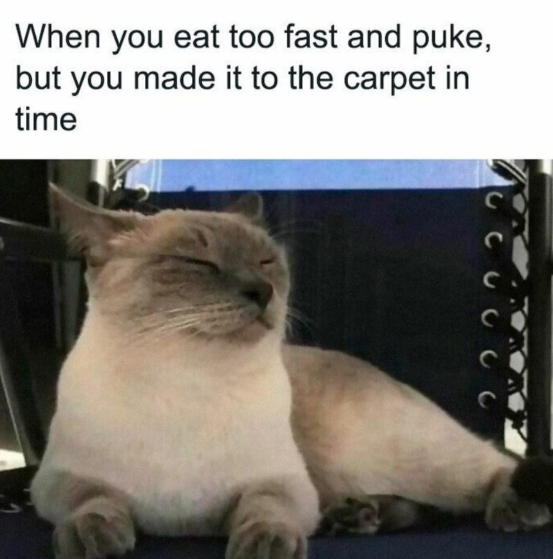 When you eat too fast and puke, but you made it to the carpet in time