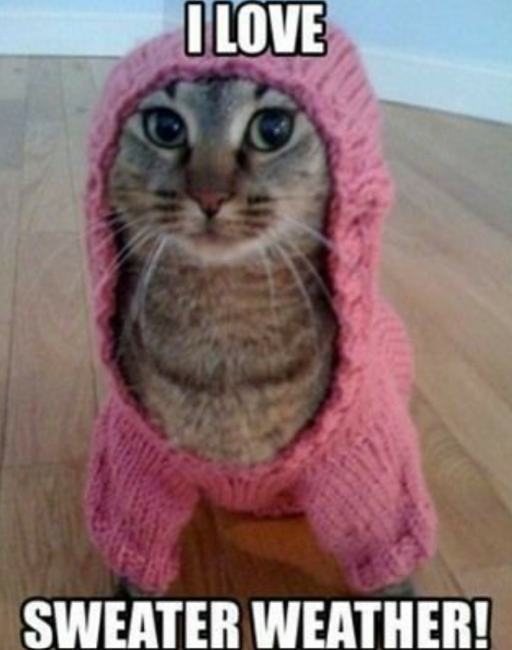 I LOVE SWEATER WEATHER!