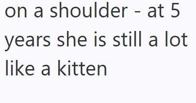 on a shoulder - at 5 years she is still a lot like a kitten