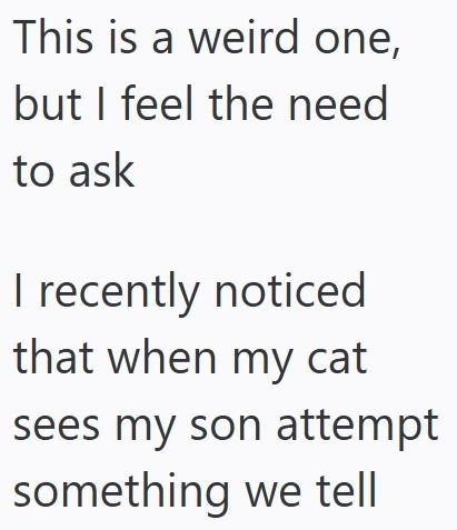 This is a weird one, but I feel the need to ask I recently noticed that when my cat sees my son attempt something we tell