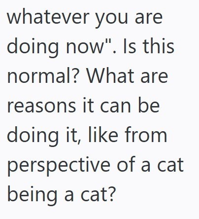 whatever you are doing now". Is this normal? What are reasons it can be doing it, like from perspective of a cat being a cat?