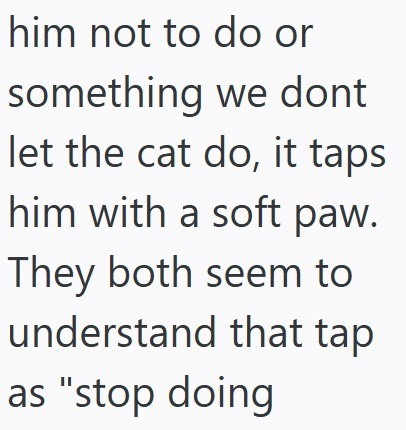 him not to do or something we dont let the cat do, it taps him with a soft paw. They both seem to understand that tap as "stop doing