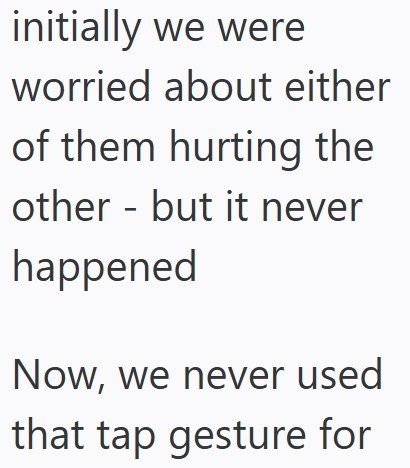 initially we were worried about either of them hurting the other but it never - happened Now, we never used that tap gesture for
