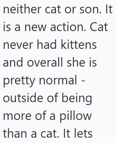neither cat or son. It is a new action. Cat never had kittens and overall she is pretty normal - outside of being more of a pillow than a cat. It lets