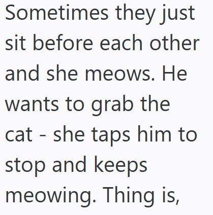 Sometimes they just sit before each other and she meows. He wants to grab the cat she taps him to stop and keeps meowing. Thing is,