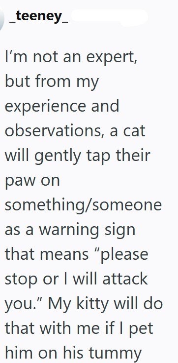 _teeney_ I'm not an expert, but from my experience and observations, a cat will gently tap their paw on something/someone as a warning sign that means "please stop or I will attack you." My kitty will do that with me if I pet him on his tummy