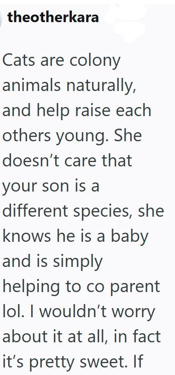 theotherkara Cats are colony animals naturally, and help raise each others young. She doesn't care that your son is a different species, she knows he is a baby and is simply helping to co parent lol. I wouldn't worry about it at all, in fact it's pretty sweet. If