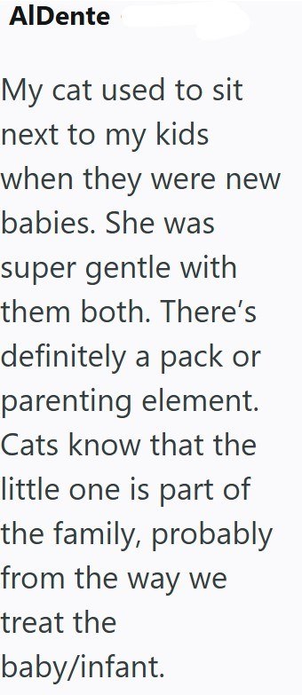 AlDente My cat used to sit next to my kids when they were new babies. She was super gentle with them both. There's definitely a pack or parenting element. Cats know that the little one is part of the family, probably from the way we treat the baby/infant.