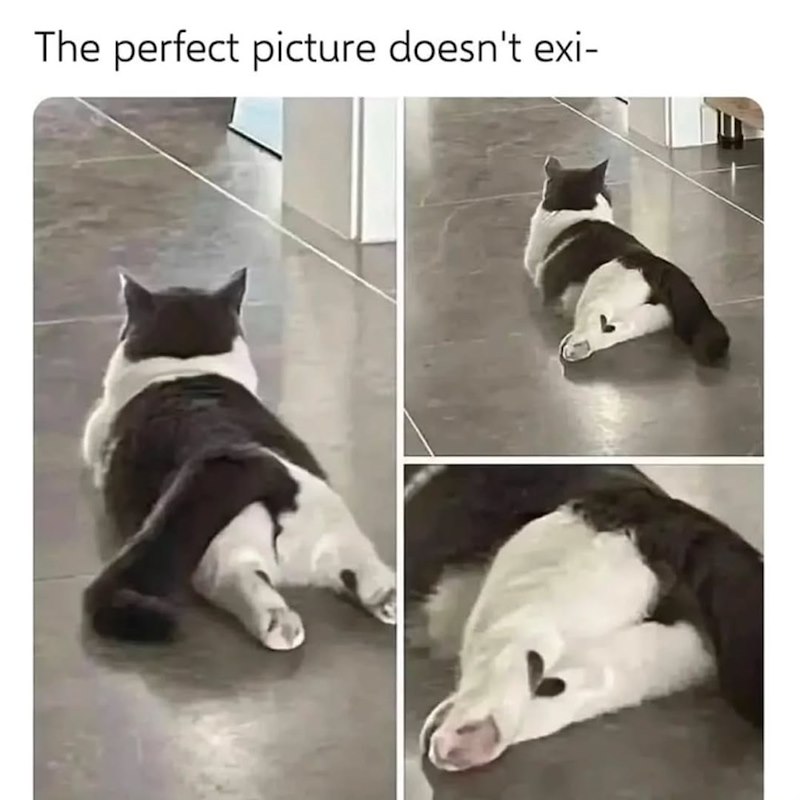The perfect picture doesn't exi-