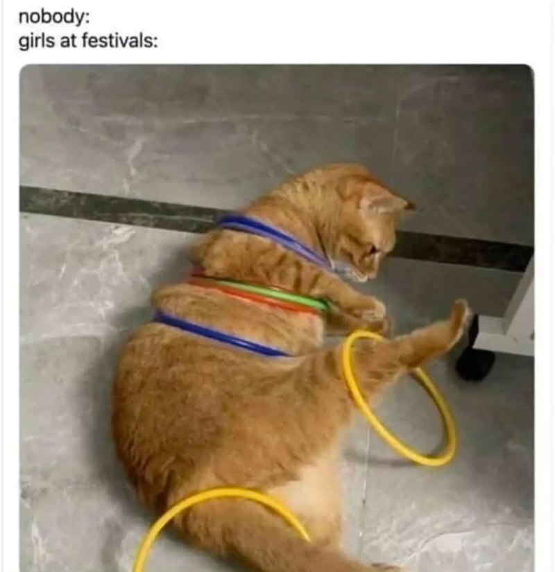 nobody: girls at festivals: