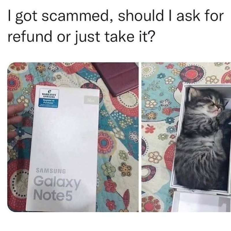I got scammed, should I ask for refund or just take it? e SAMSUNG Register A Purchase 12 SAMSUNG Galaxy Note5 $8