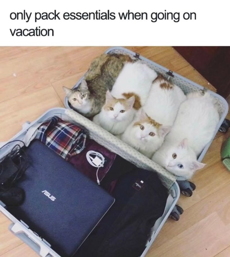 only pack essentials when going on vacation ASUS