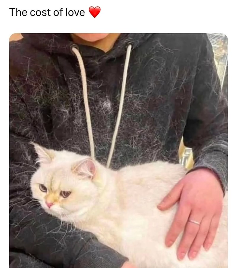 The cost of love