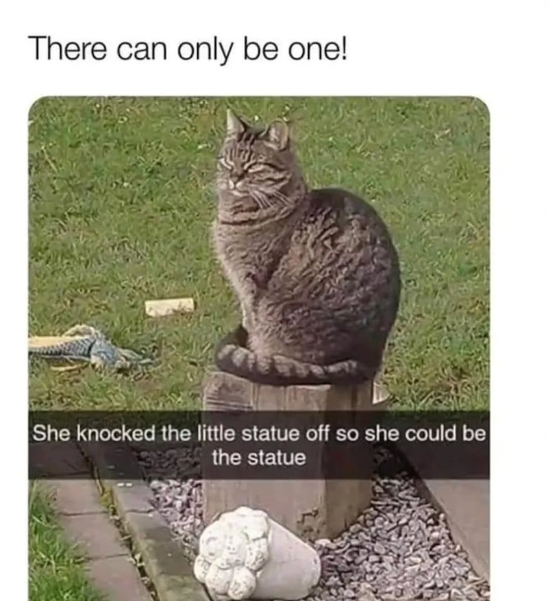 There can only be one! She knocked the little statue off so she could be the statue