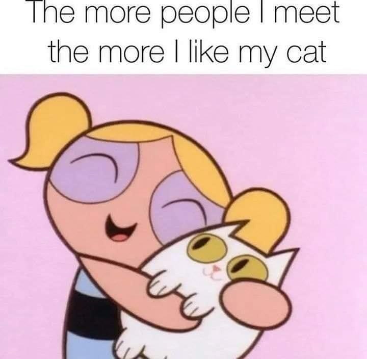 The more people I meet the more I like my cat