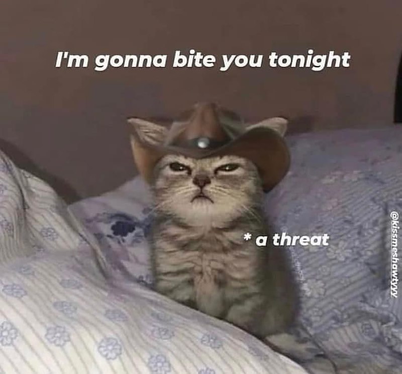 I'm gonna bite you tonight * a threat @kissmeshawtyyy