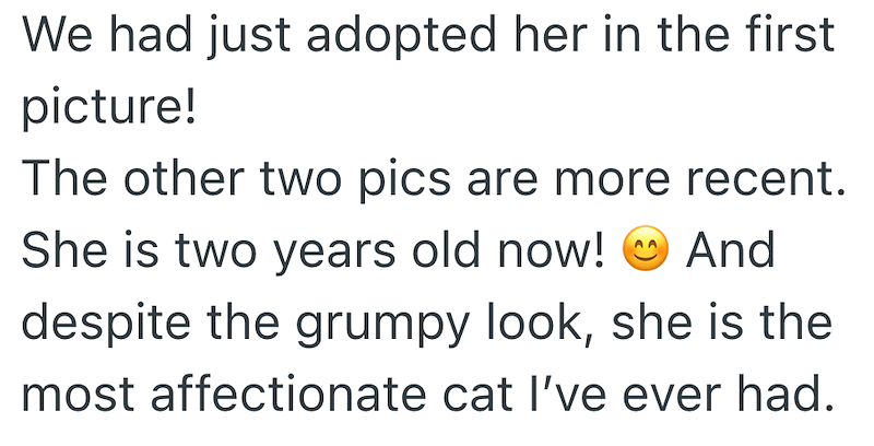 We had just adopted her in the first picture! The other two pics are more recent. She is two years old now! And despite the grumpy look, she is the most affectionate cat I've ever had.