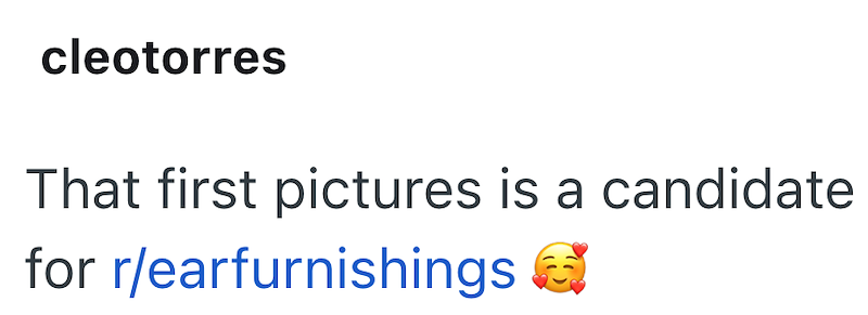 cleotorres That first pictures is a candidate for r/earfurnishings