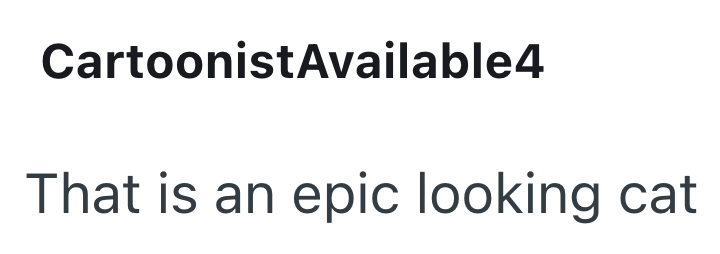 CartoonistAvailable4 That is an epic looking cat