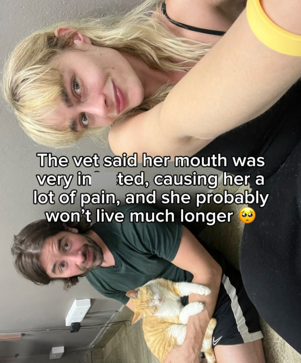 The vet said her mouth was very in ted, causing her a lot of pain, and she probably won't live much longer
