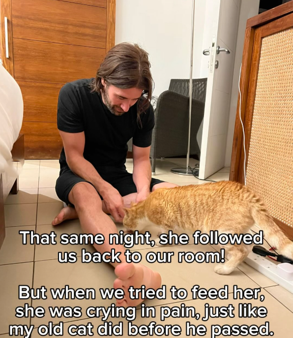 That same night, she followed us back to our room! But when we tried to feed her, she was crying in pain, just like my old cat did before he passed.