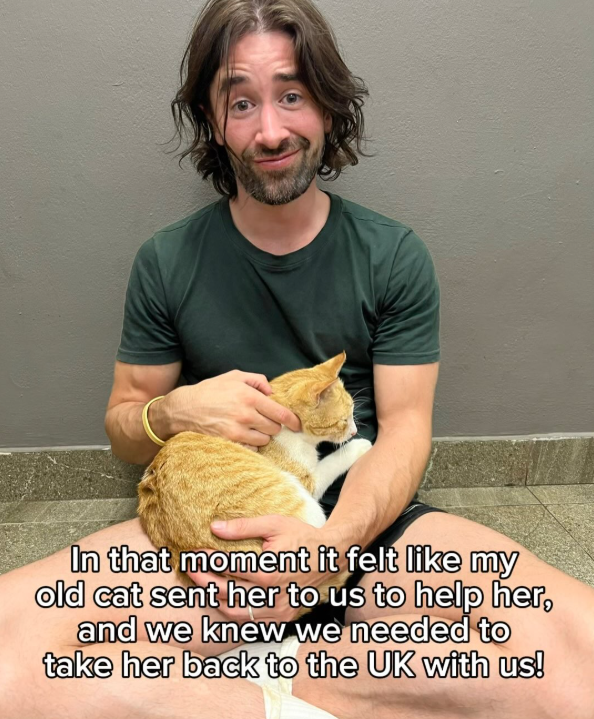 In that moment it felt like my old cat sent her to us to help her, and we knew we needed to take her back to the UK with us!