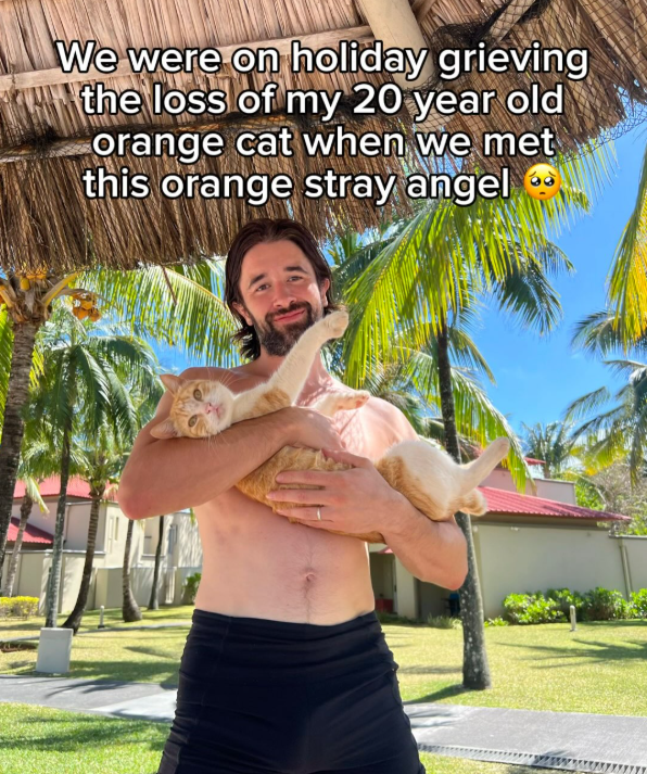 We were on holiday grieving the loss of my 20 year old orange cat when we met this orange stray angel