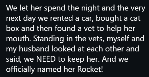 We let her spend the night and the very next day we rented a car, bought a cat box and then found a vet to help her mouth. Standing in the vets, myself and my husband looked at each other and said, we NEED to keep her. And we officially named her Rocket!