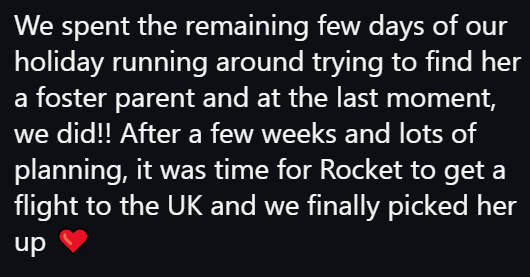 We spent the remaining few days of our holiday running around trying to find her a foster parent and at the last moment, we did!! After a few weeks and lots of planning, it was time for Rocket to get a flight to the UK and we finally picked her up