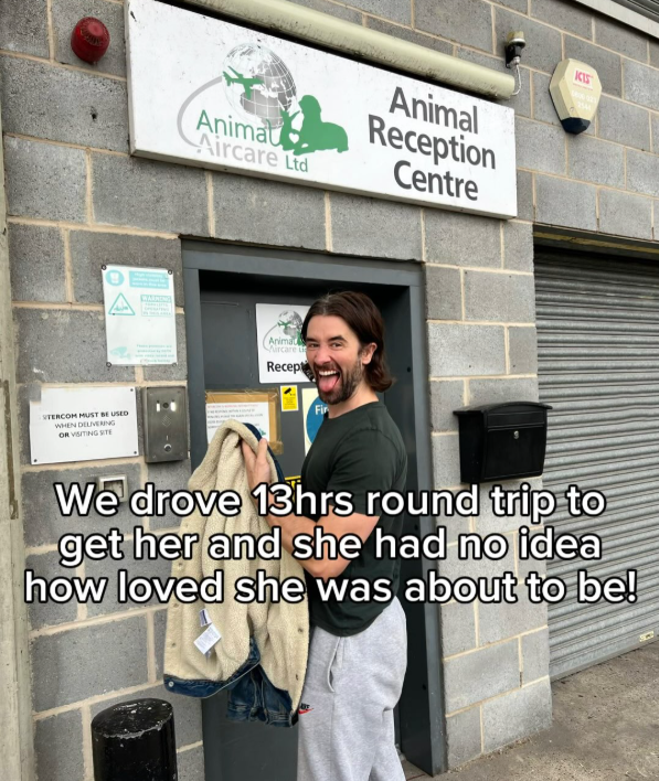 STERCOM MUST BE USED WHEN DELIVERING OR VISITING SITE WARNI Animat Aircare Ltd Animal Reception Centre Animat Recept Fir KIS We drove 13hrs round trip to get her and she had no idea how loved she was about to be!