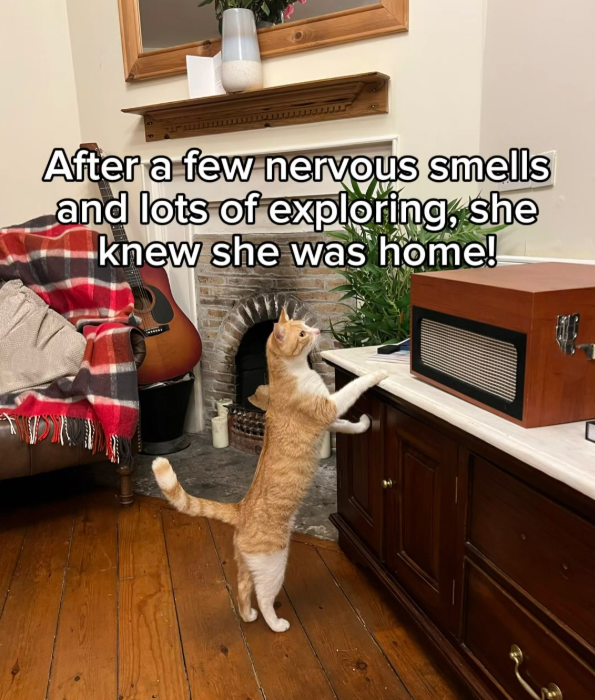After a few nervous smells and lots of exploring, she knew she was home!