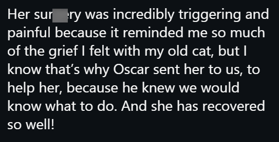 Her sur ry was incredibly triggering and painful because it reminded me so much of the grief I felt with my old cat, but I know that's why Oscar sent her to us, to help her, because he knew we would know what to do. And she has recovered so well!